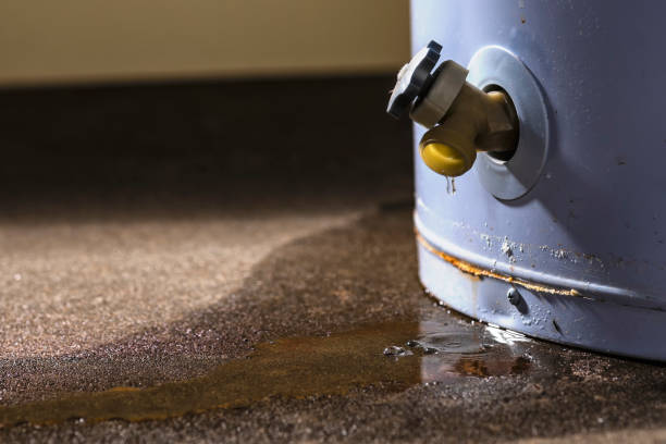 Best Water damage cleanup near me  in Ammon, ID
