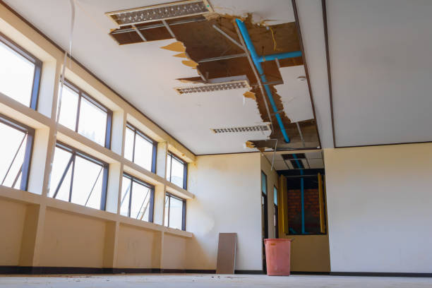 Best Flood damage cleanup  in Ammon, ID