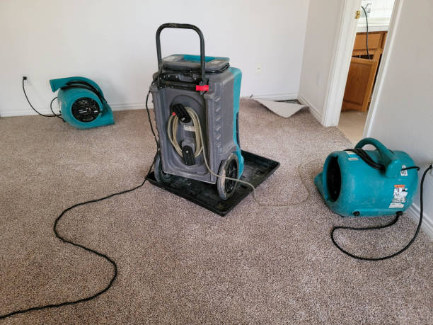 Best Carpet water damage restoration  in Ammon, ID