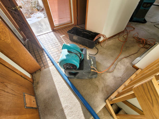 Best Fire Damage Restoration  in Ammon, ID