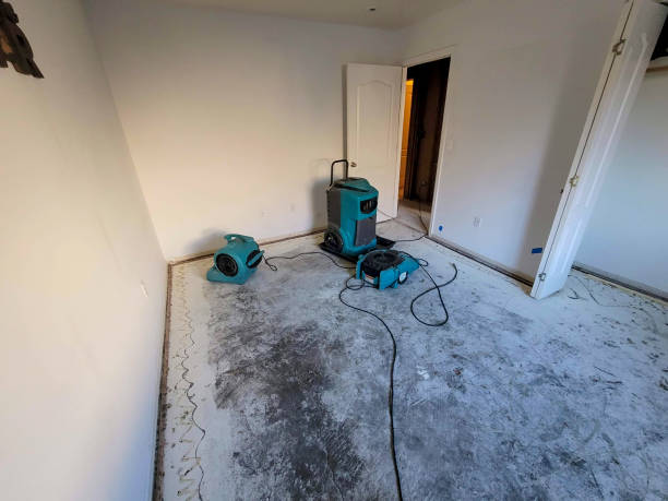 Best 24-hour water damage restoration  in Ammon, ID