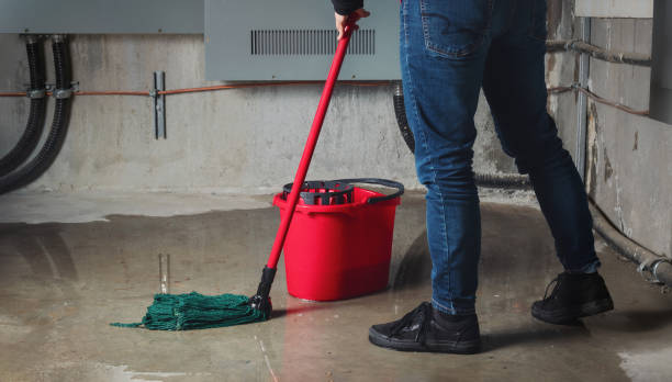 Best Flood damage cleanup  in Ammon, ID